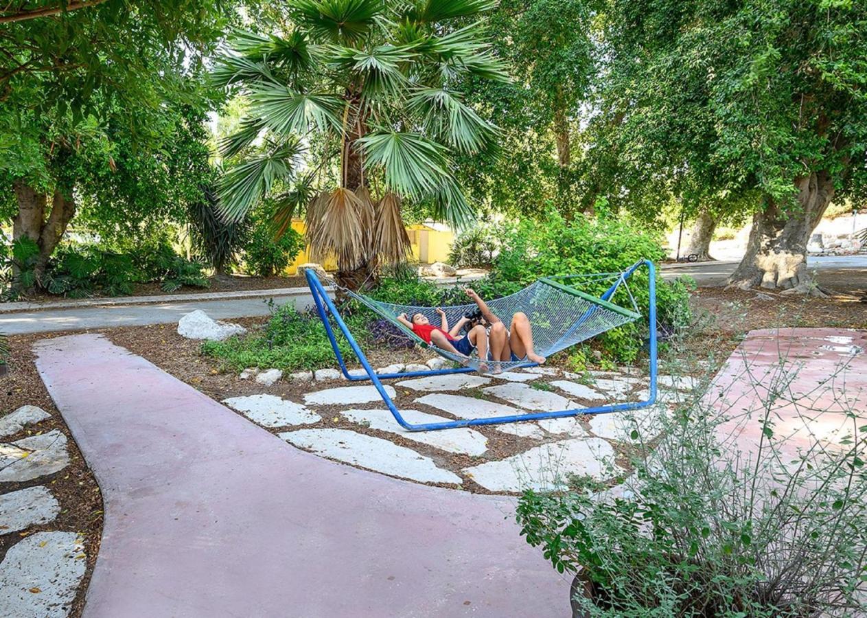 Jordan Valley Birding Lodge Kefar Ruppin Екстериор снимка