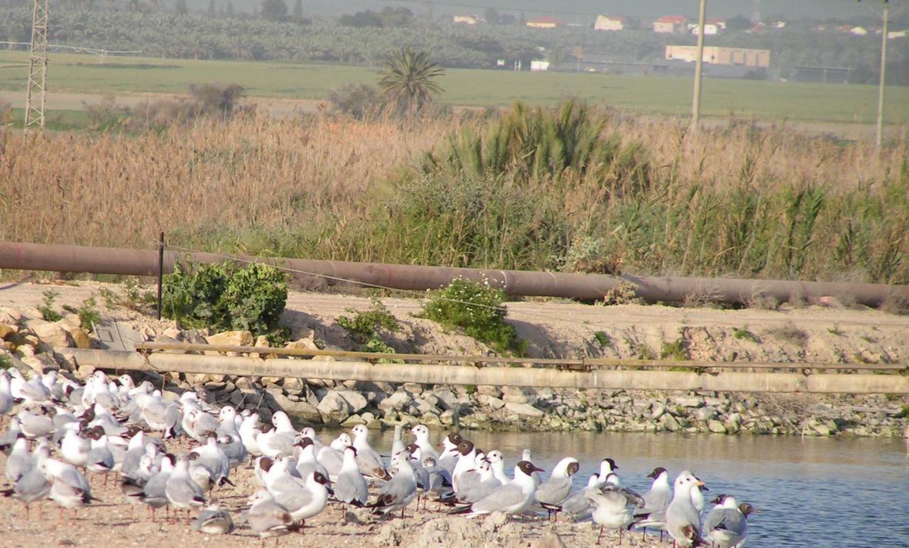 Jordan Valley Birding Lodge Kefar Ruppin Екстериор снимка