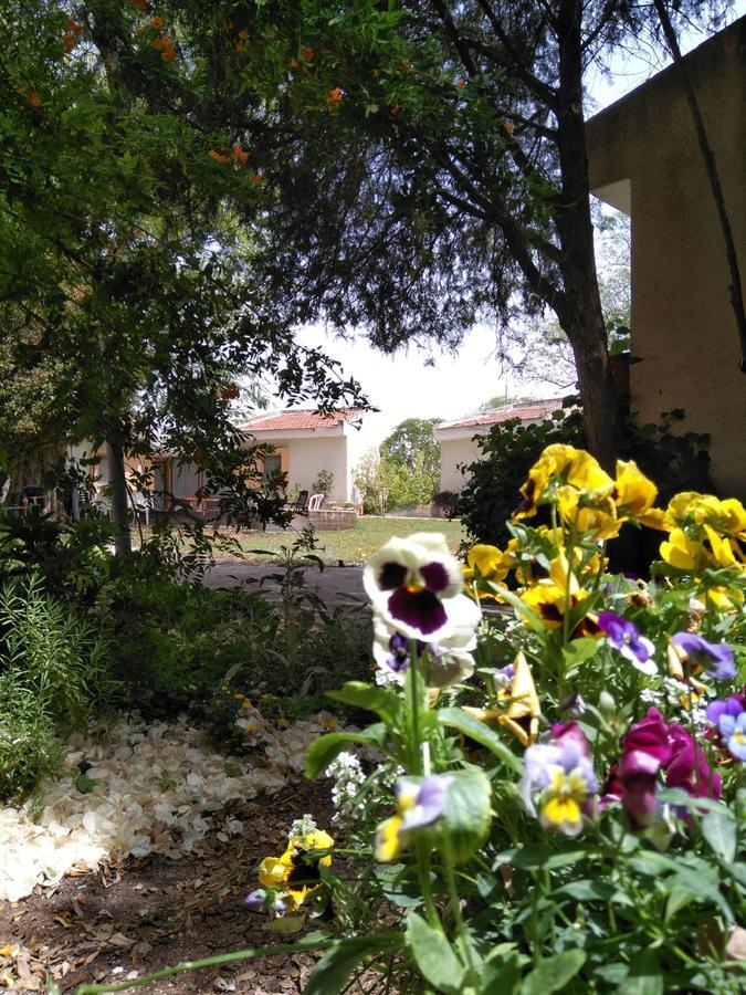 Jordan Valley Birding Lodge Kefar Ruppin Екстериор снимка